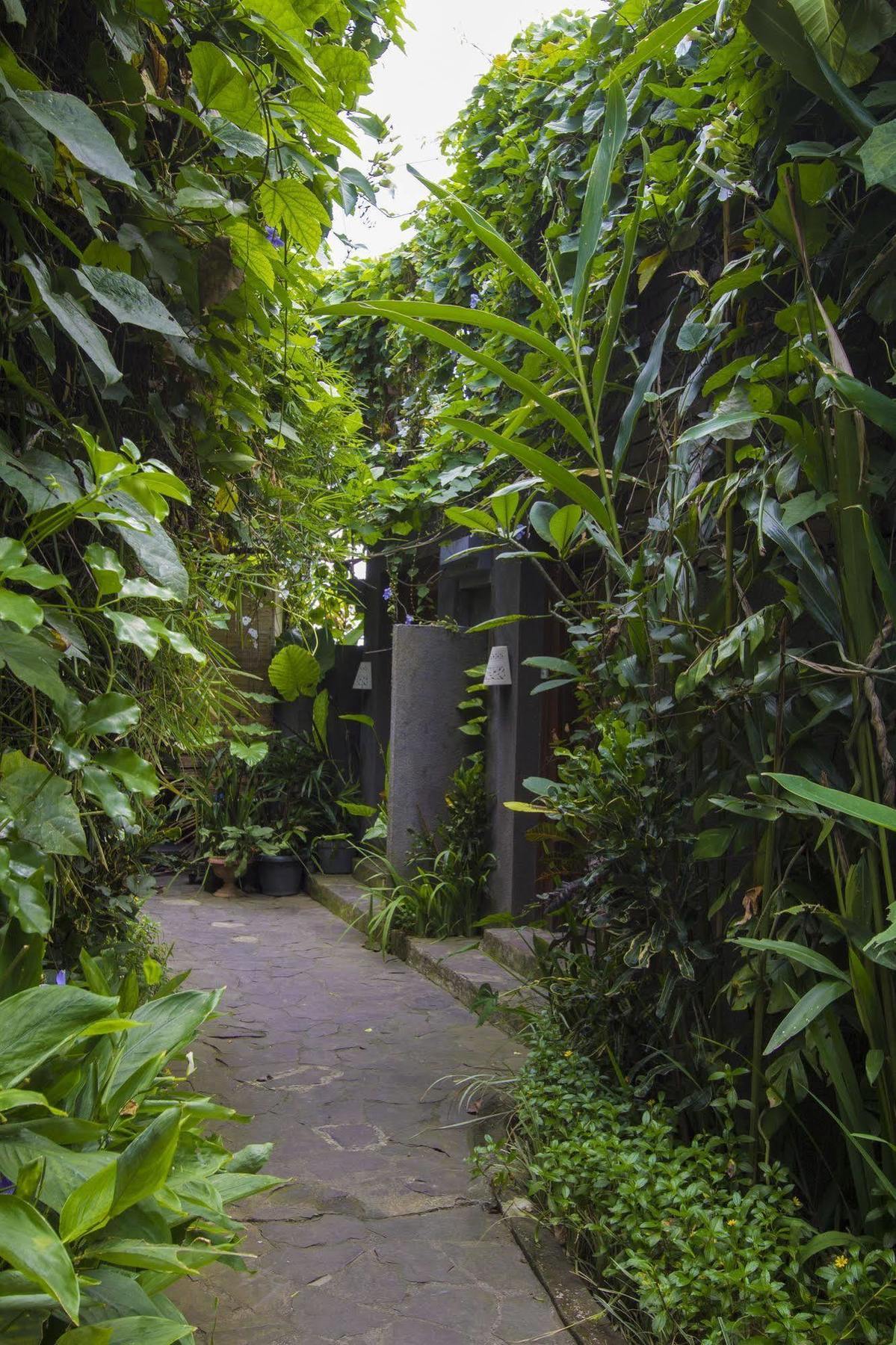Ladera विला *